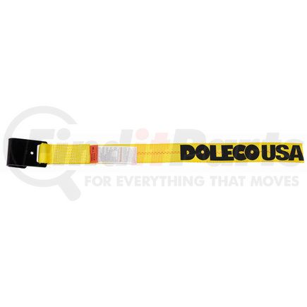 23100230 by DOLECO USA - 2"x30' Winch Strap w/ Flat Hook