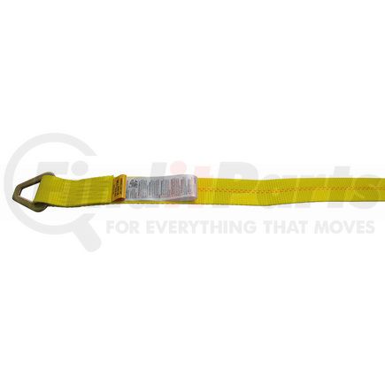 23101230 by DOLECO USA - 2"x30' Winch Strap w/ Delta Ring