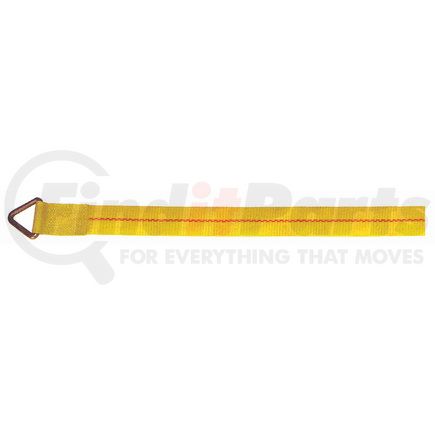 23107427 by DOLECO USA - 4"x27' Winch Strap w/ Delta Ring