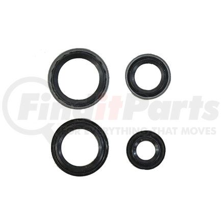 68308979AA by MOPAR - SEAL KIT