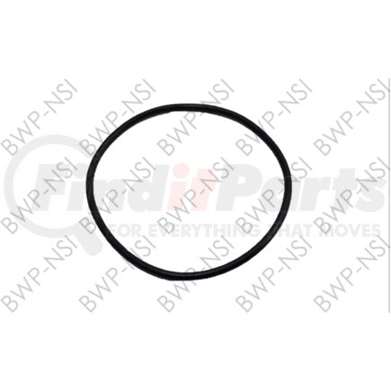 BWP-NSI M-1065 Wheel Hub O RING FOR PRO PAR HUB CA