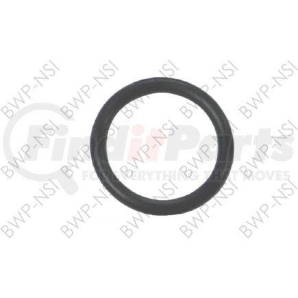 BWP-NSI M-1093 Hardware Assortment O Ring