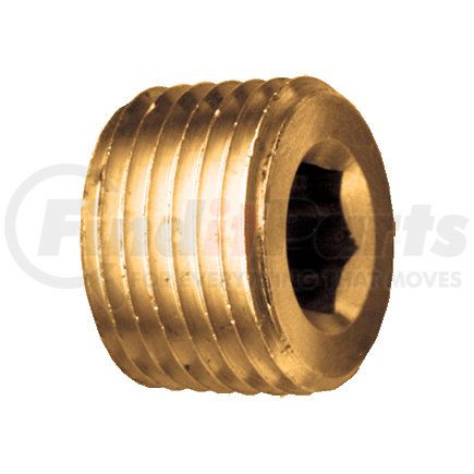 BWP-NSI M-4318 BrsFtg MPT Hex Plug