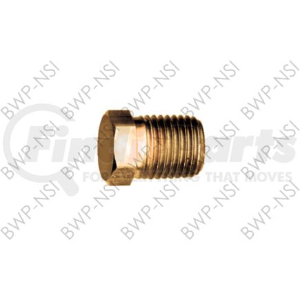 M-4319 by BWP-NSI - BrsFtg Hex Head Plug