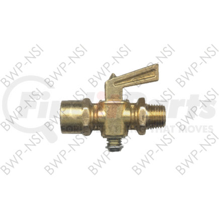 BWP-NSI M-4348 Pipe Fitting BrsFtg Drain Cock Spring Btm