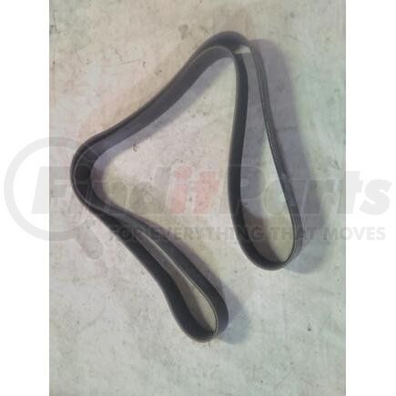 1879854C1 by NAVISTAR - Accessory Drive Belt