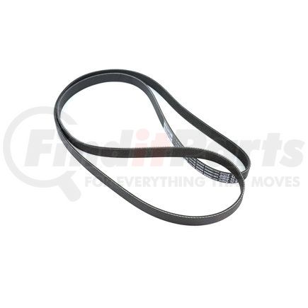 53013905AA by MOPAR - BELT