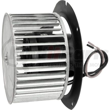 2311961 by GLOBAL PARTS DISTRIBUTORS - GPD Blower Motor 2311961