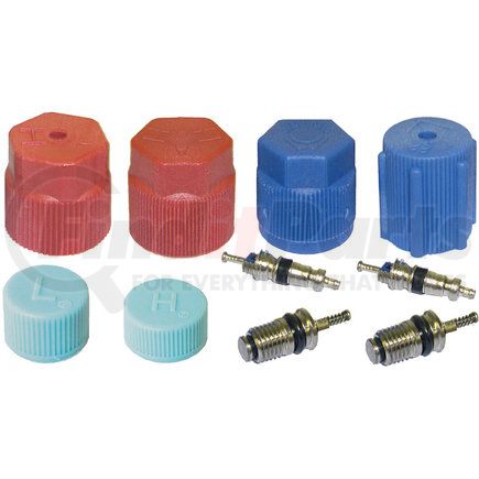1311575 by GLOBAL PARTS DISTRIBUTORS - CAP AND VALVE KIT