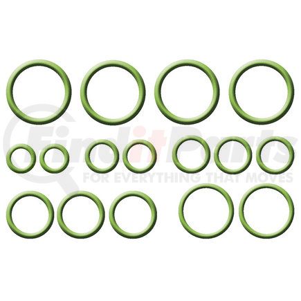 1321250 by GLOBAL PARTS DISTRIBUTORS - gpd Rapid Seal Kit 1321250