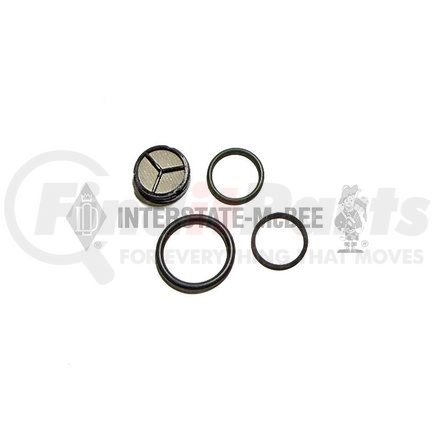 AP0035 by INTERSTATE MCBEE - Multi-Purpose Hardware - Ipr Valve Seal Kit