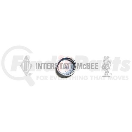 M-213395 by INTERSTATE MCBEE - Engine Expansion Plug Kit