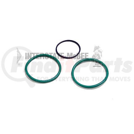 Interstate-McBee M-2274239ORK Multi-Purpose O-Ring O-Ring Kit