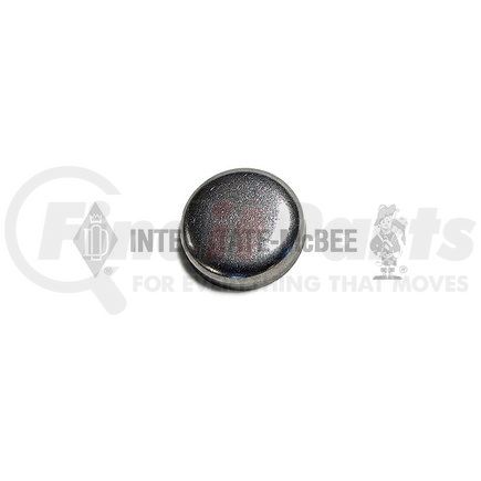 M-3007635 by INTERSTATE MCBEE - Engine Expansion Plug Kit