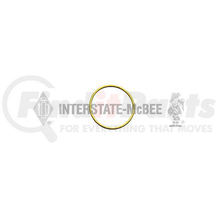 M-3009738 by INTERSTATE MCBEE - Multi-Purpose Seal Ring - Unload Valve