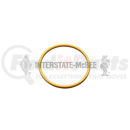 M-3009739 by INTERSTATE MCBEE - Multi-Purpose Seal Ring - Unload Valve