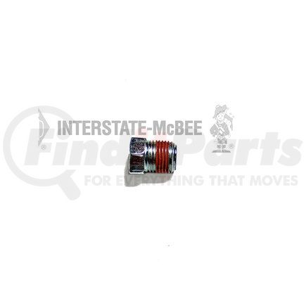 M-3025459 by INTERSTATE MCBEE - Pipe Plug