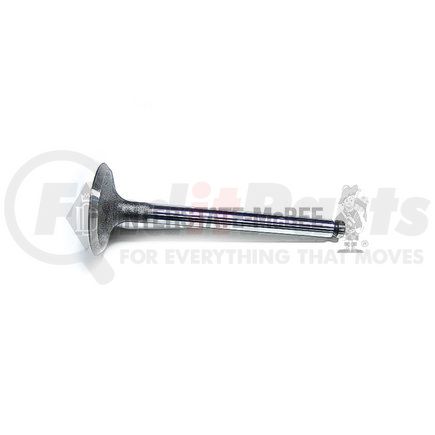 M-6I0282 by INTERSTATE MCBEE - Engine Intake Valve