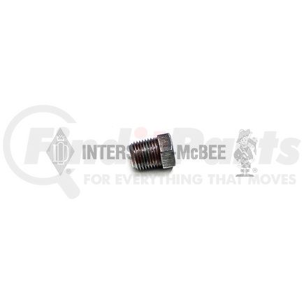 M-70295 by INTERSTATE MCBEE - Pipe Plug