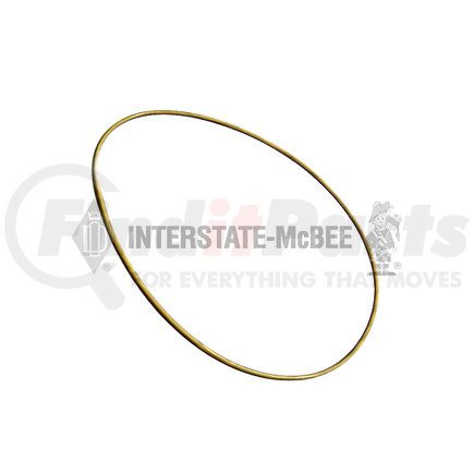 M-9N1609 by INTERSTATE MCBEE - Multi-Purpose Seal Ring