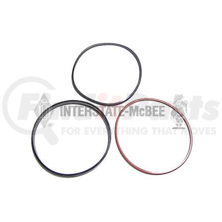 M-AR70577 by INTERSTATE MCBEE - Seal Ring Kit