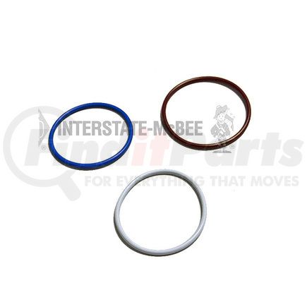 MCBN14INJ by INTERSTATE MCBEE - Fuel Injector O-Ring Kit