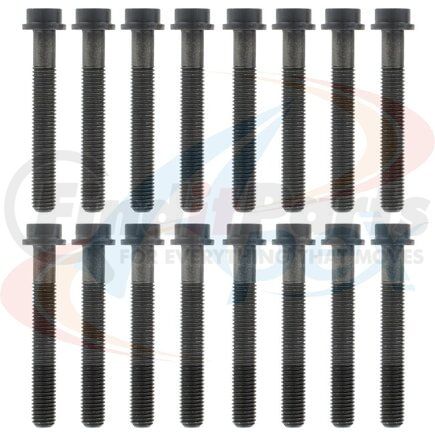 Apex Gaskets AHB427 Engine Cylinder Head Bolt Set Head Bolt Set