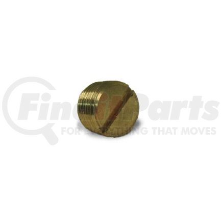 017101 by VELVAC - Pipe Fitting - Brass, 1/8"