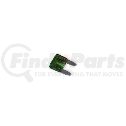 091309-5 by VELVAC - Multi-Purpose Fuse - 30 Amp, Green, 5 Pack