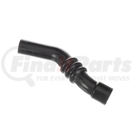 FNH248 by SPECTRA PREMIUM - Fuel Filler Hose