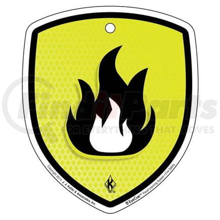 43816 by JJ KELLER - EyeCue Tags: Fire Safety Fire Hazard Reminder - Tags, 3" x 4" (10-Pack)