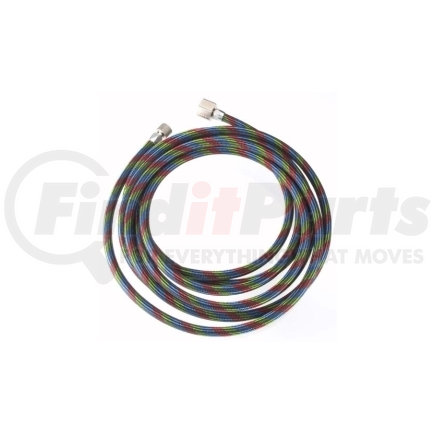 4010 by IWATA - BT010 - 10' Braided Nylon Hose