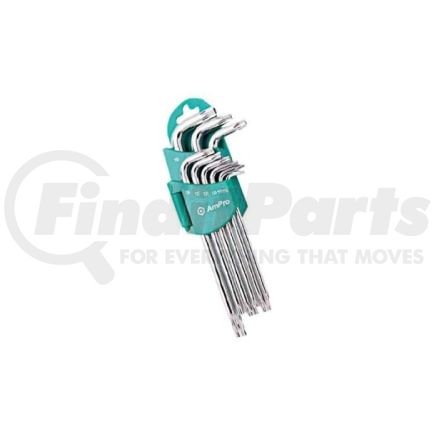 Ampro Tools T22945 9pc Magnetic Star Wrench Set