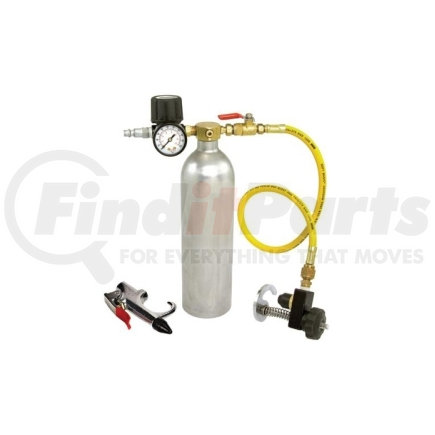 TLFGRA by CPS PRODUCTS - A/C Flush Kit, with Tank, Universal Adapter, Rubber Tip Flush Gun, Pressure Regulator and 18" Hose
