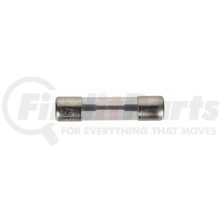 2421F by THE BEST CONNECTION - 30 Amp SFE Glass Iron-Head Fuse 2 Pcs