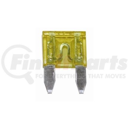 20309F by THE BEST CONNECTION - 30 Amp Green Mini Fuse 2 Pcs