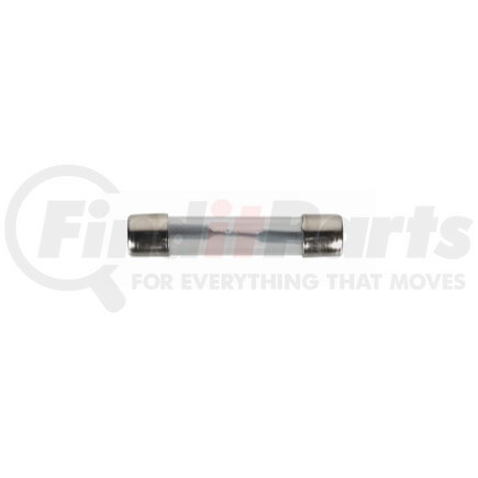 2406F by THE BEST CONNECTION - 5 Amp AGC Glass Iron-Head Fuse 2 Pcs
