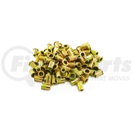 RN14 by ASTRO PNEUMATIC - 100 Pc. 1/4-20 Steel Rivet Nuts