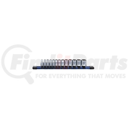 Sunex Tools 18100C 13 Pc. 1/4" Dr Standard Socket Set-MM 12pt Rail
