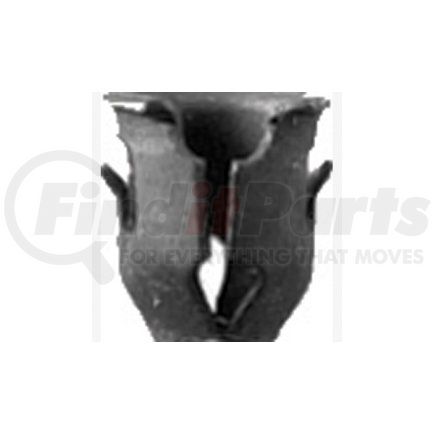 6250B by AUTO BODY DOCTOR - Barrel Nuts Black Ford, Screw size: 1/8" stud/1/4" hole, Qty: 100, Other: 375480-S100