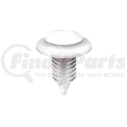 6054 by AUTO BODY DOCTOR - Trim Panel Retainers, Natural Nylon, Size: 3/16" (4.5mm), Stem: 3/4", Head: 3/4", Qty: 10