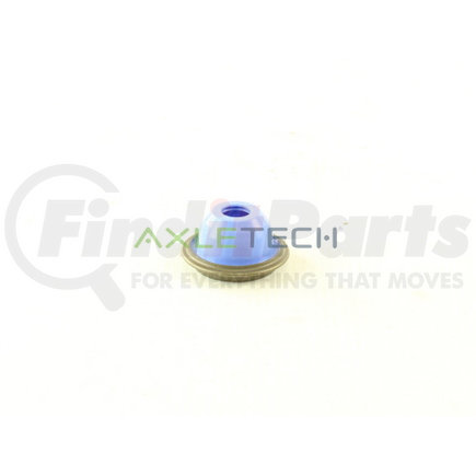 120501150E by AXLETECH - Seal-Adjusting Bolt