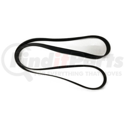 1842467C1 by NAVISTAR - Accessory Drive Belt