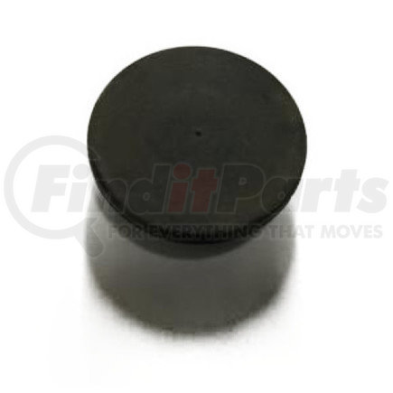 2603043C1 by NAVISTAR - INTERNATIONAL PLUG HUB CAP VENT