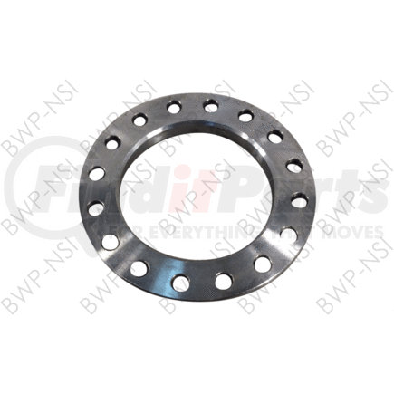 BWP-NSI M-704 Brake Dust Shield Brake Spider Flange