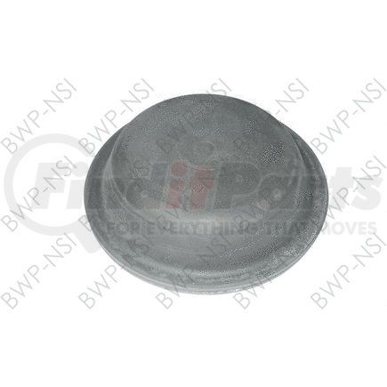 BD24 by BWP-NSI - Brake Drum