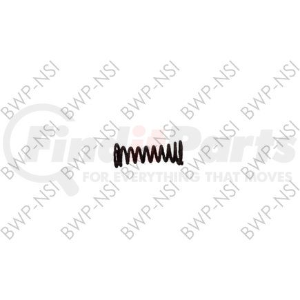 BWP-NSI M-2690 Guide Spring-limited Qty