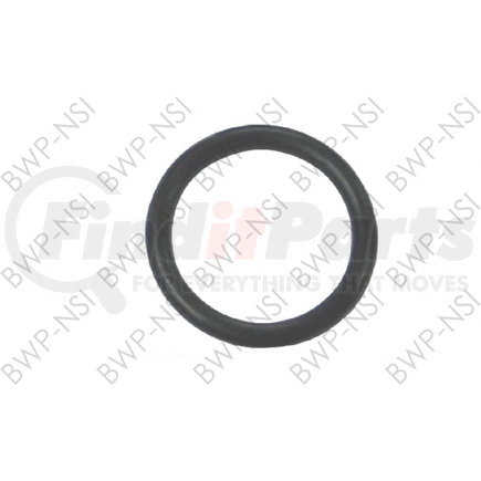 BWP-NSI M-1095 O RING