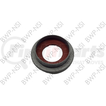 BWP-NSI M-1083 Seal