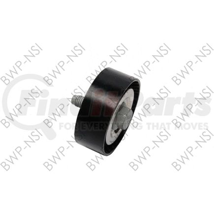 CT49173 by BWP-NSI - Continental Elite Pulley
